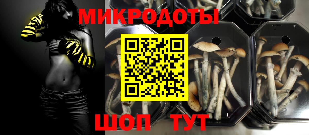 Псилоцибиновые грибы MAGIC MUSHROOMS Благовещенск
